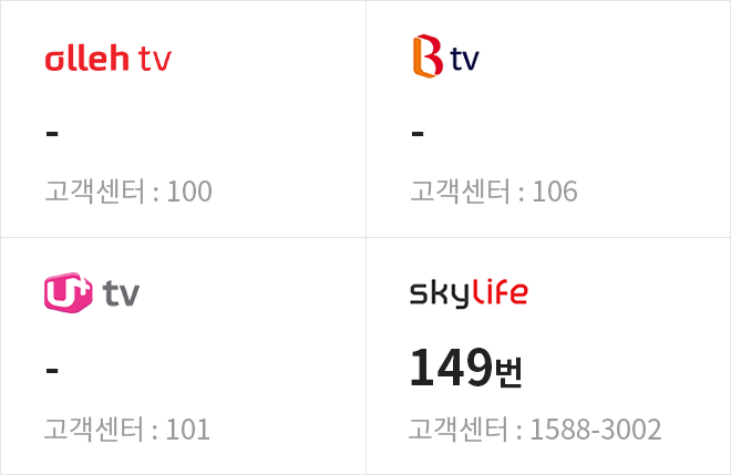 채널번호